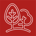 Umweltplanung